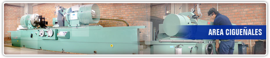 Rectificado de Cigueñales